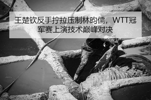 王楚钦反手拧拉压制林昀儒，WTT冠军赛上演技术巅峰对决