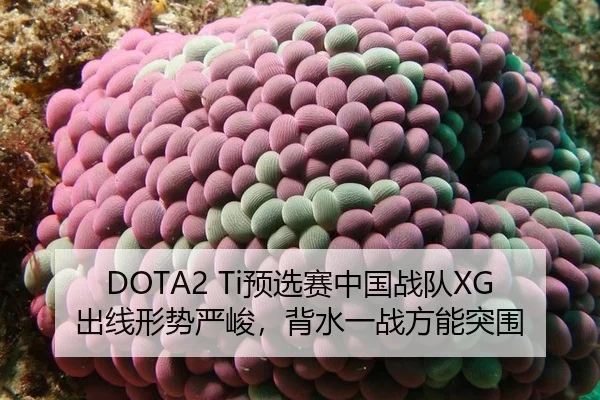 DOTA2 Ti预选赛中国战队XG出线形势严峻，背水一战方能突围