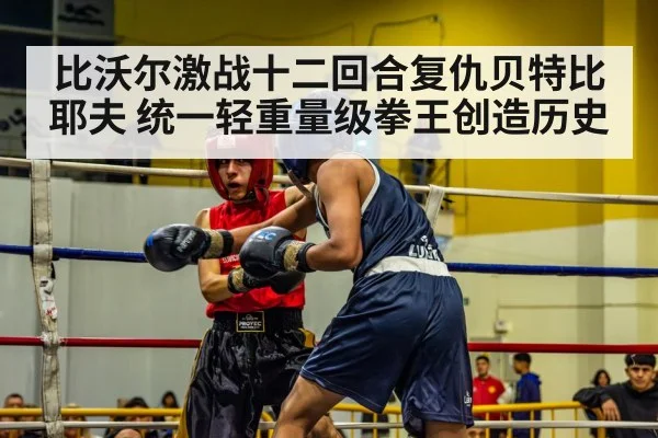 比沃尔激战十二回合复仇贝特比耶夫 统一轻重量级拳王创造历史